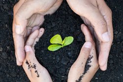 inndesu-sustentabilidad